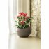 Bama Sfera Bloempot 23L 40.5x32 cm Taupe_