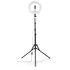 Hama Led-ringlamp SpotLight Steady 120 II Voor Set Smartphone Statief 12”_