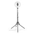 Hama Led-ringlamp SpotLight Steady 120 II Voor Set Smartphone Statief 12”_